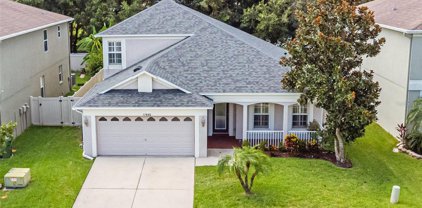 17846 Cunningham Court, Land O' Lakes