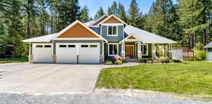 40728 Tanwax Road E, Roy
