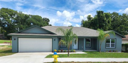 5207 Peach Avenue, Seffner