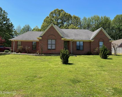 4395 Summers Place Drive, Olive Branch