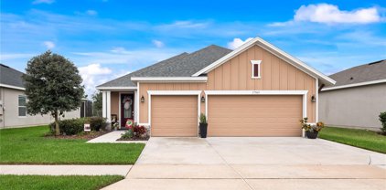 17969 Passionflower Circle, Clermont