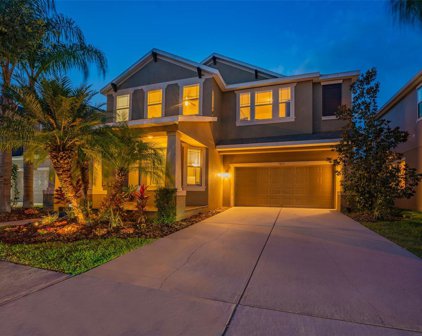 7029 Dowling Mill Circle, Tampa