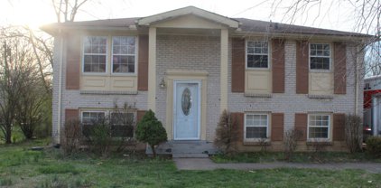 705 Perry Dr, Springfield