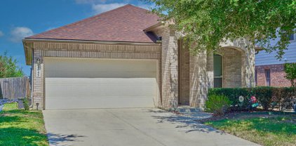 2645 War Admiral, Schertz