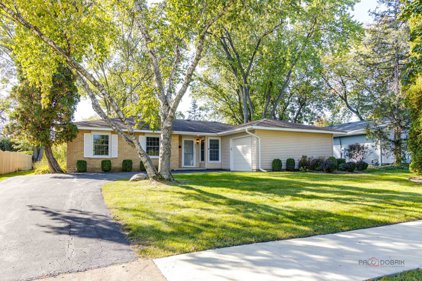 821 W Lynnwood Avenue, Arlington Heights