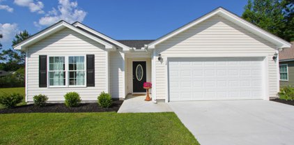 12 Desurrency Ct., Georgetown