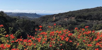 4663 Cyrus Way, Oceanside