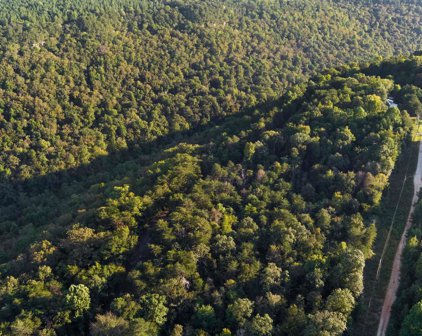 LOT 33 County Road 369, Fort Payne