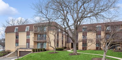 1105 N Mill Street Unit #216, Naperville
