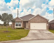 23103 Coulter Pine Court, Tomball image