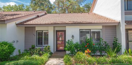 1716 Cypress Trace Drive, Safety Harbor