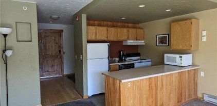 110 S Park  Avenue Unit 116, Breckenridge
