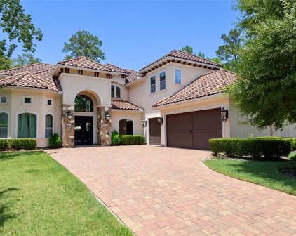 23 S Bayou Club Court, The Woodlands