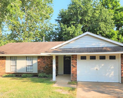 771 Old Forge Road, Southaven