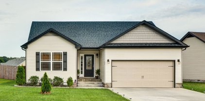 2327 Button Dr, Clarksville