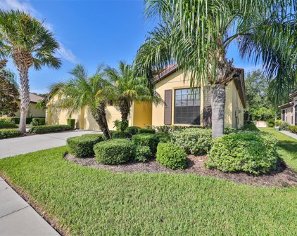 5511 Sunset Falls Drive, Apollo Beach