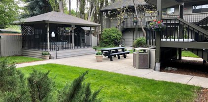 180 Vista Lane Unit 234, Bigfork