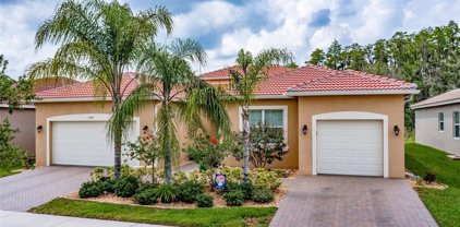 5004 Emerald Isle Drive, Wimauma
