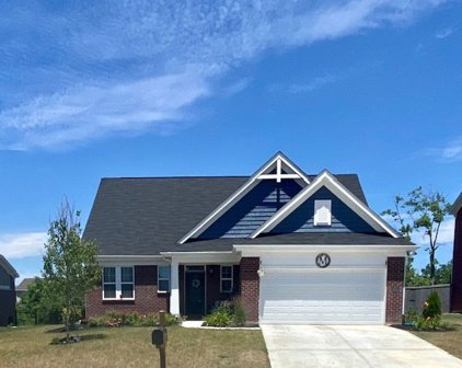 6534 Treeline Lane, Mccordsville