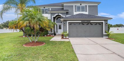 11311 Marion Lake Court, Riverview