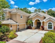 16423 Burniston Drive, Tampa image