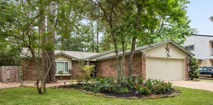 11 W Woodtimber Court, The Woodlands