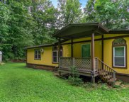 58 Holly Ridge  Road, Candler image