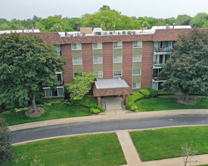 1025 S Fernandez Avenue Unit #3N, Arlington Heights