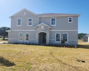 17708 Sawgrass Run, Tavares image
