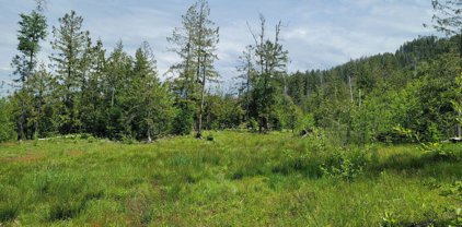 NNA Grouse Mountain Trail, Sagle