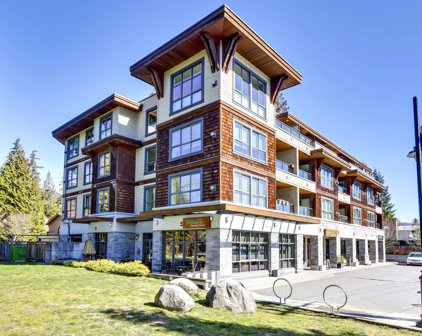 3732 Mt Seymour Parkway Unit 207, North Vancouver