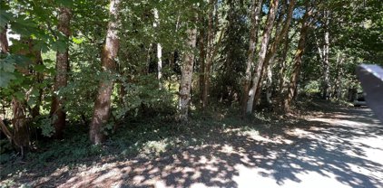 63781 E Cascade Drive, Marblemount