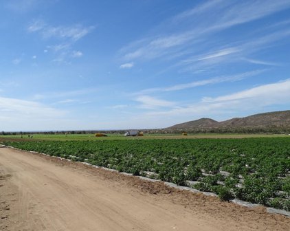Terreno Palmarito, La Paz