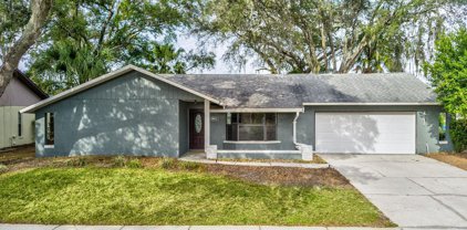 8621 White Springs Drive, New Port Richey