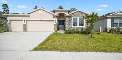 3635 Autumn Amber Drive, Spring Hill
