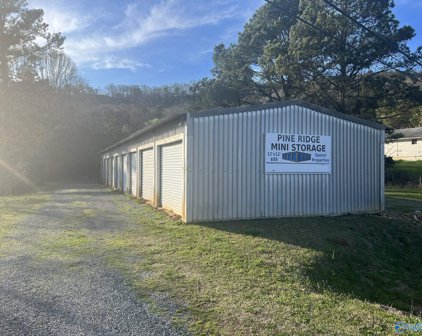 1725 County Road 835, Fort Payne