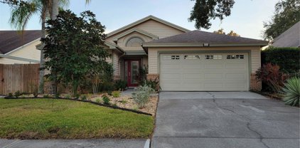 3566 Deer Run S, Palm Harbor