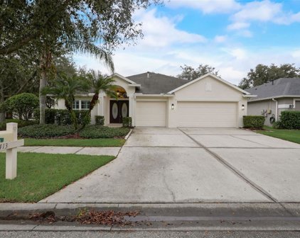 9413 Azalea Ridge Circle, Tampa