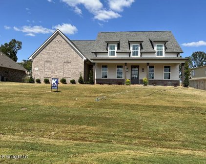 3768 Fossil Hill Dr Drive, Hernando