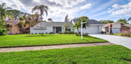 2888 Rollingwood Court, Clearwater