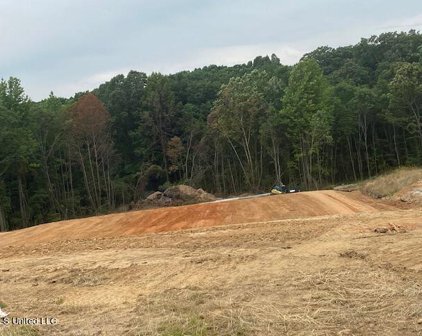 123 W Byhalia Creek Farms Road, Byhalia