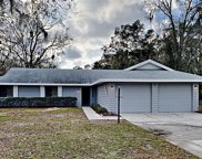 3738 Sapphire Court, Mulberry image