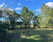 11895 W Timberlane Drive, Homosassa image