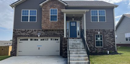 1933 Sydney Louise Drive, Clarksville