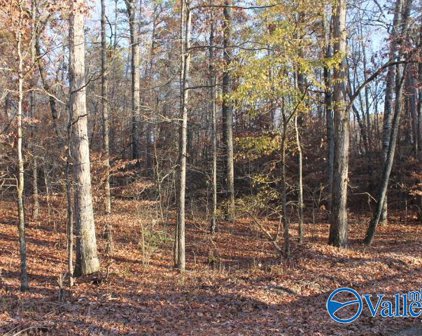 Lot 11 County Road 596, Fort Payne