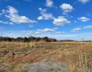 Tract 17 Hays Mill Road, Elkmont image