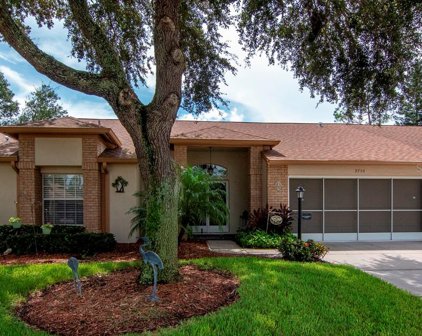 9750 Sweeping View Drive, New Port Richey