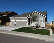 5288 Alberta Falls Street, Timnath image