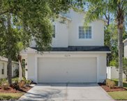 15274 Black Lion Way, Winter Garden image