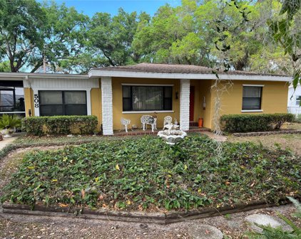 508 Tweed Avenue, Seffner